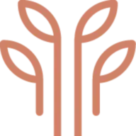 Purposecapital.co.nz Logo