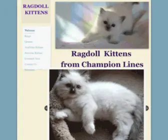 Purrfectkittens.biz(Ragdoll Kittens from champion blood lines) Screenshot