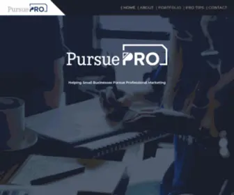 Pursuepro.com(Pursue Pro Marketing Experts) Screenshot