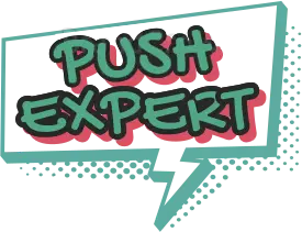 Push.expert Logo
