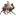 Pushkarcamelfair.com Favicon