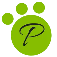 Putrat.com Favicon