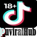 Puviral.com Favicon