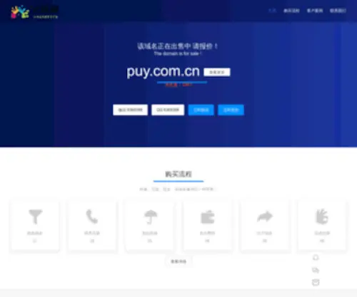 Puy.com.cn(域名售卖) Screenshot
