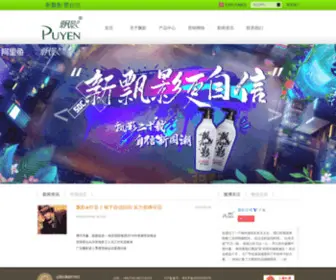 Puyen.com.cn(广东飘影实业有限公司) Screenshot