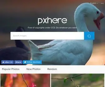 Pxhere.com(Free Images & Free stock photos) Screenshot