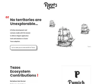 Pyratzlabs.com(The Startups Studio fully specialized in Web 3) Screenshot