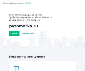 Pyzomerka.ru(Срок) Screenshot