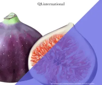 QA-International.com(A visual approach to knowledge) Screenshot