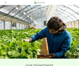 Qadco.com.qa(TThe leading agricultural companies in the State of Qatar) Screenshot