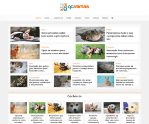 Qcanimais.com.br(Qcanimais) Screenshot