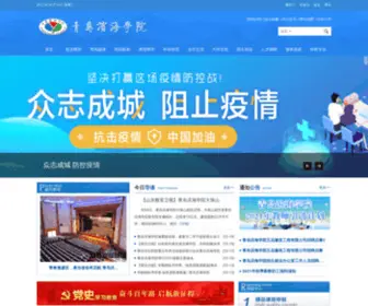 QDbhu.edu.cn(青岛滨海学院) Screenshot