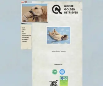 Qdore.pl(Golden Retriever) Screenshot