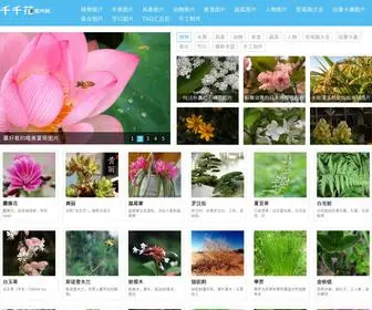 Qianqianhua.com(花卉图片大全) Screenshot