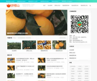 Qichengshan.com(赣南脐橙) Screenshot