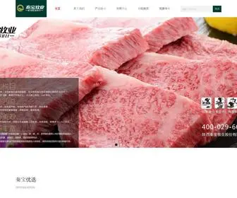 Qinbao.com.cn(陕西秦宝牧业) Screenshot