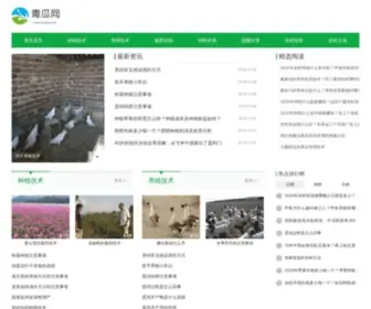 Qinggua.net(青瓜剧情网) Screenshot