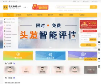 Qiufa.com(求发网) Screenshot