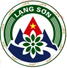QLDSVhlangson.com.vn Logo
