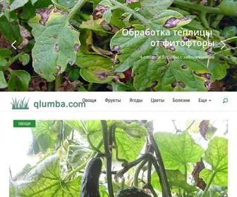 Qlumba.com(Ещё) Screenshot