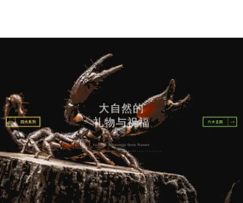 QNC.cn(南宁千年虫工艺品有限公司) Screenshot