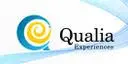 Qualiaexperiences.com Favicon