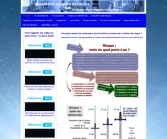 Qualite-Securite-Soins.fr(Gestion du risque infectieux associé aux soins) Screenshot