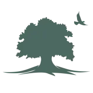 Qualityaction.eu Favicon