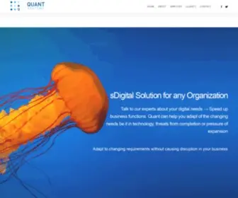 Quantsystemsinc.com(Data Practice) Screenshot