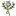 Quebecthistle.org Favicon