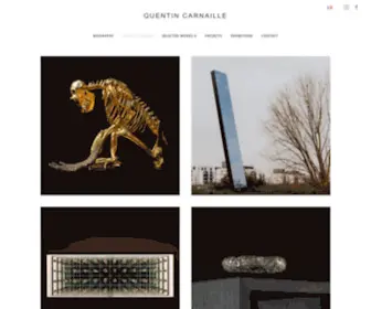 Quentincarnaille.com(Quentin Carnaille) Screenshot