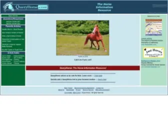 Queryhorse.com(QueryHorse) Screenshot