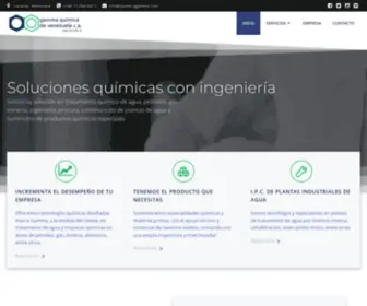 Quimicagamma.com(Gamma Química de Venezuela) Screenshot