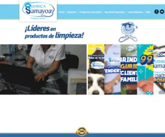 Quimicasamayoa.com(Química) Screenshot