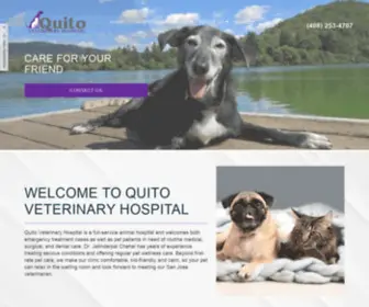 Quitovethospital.com(Quito Veterinary Hospital) Screenshot