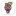 Quizberries.com Favicon