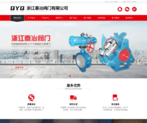 QYqvalve.com(QYqvalve) Screenshot