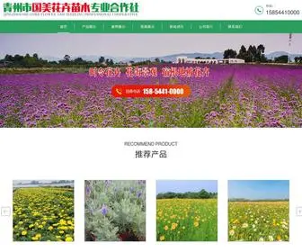 QZGMHH.com(青州市国美花卉苗木专业合作社) Screenshot