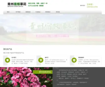 Qzsugencaohua.com(小兔子狼尾草) Screenshot