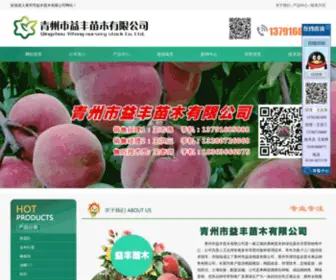 QZYNTM.com(青州市益丰苗木有限公司) Screenshot