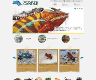 R-Candle.jp(Default Parallels Plesk Panel Page) Screenshot