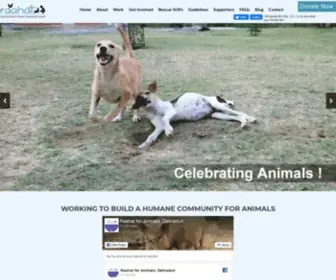 Raahatforanimals.org(Raahat for Animals) Screenshot