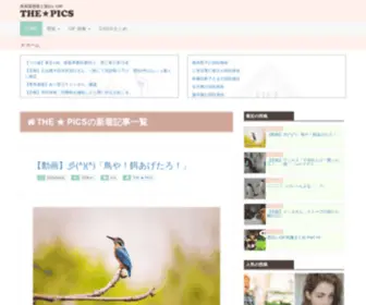 Raananacats.org(FHD以上) Screenshot