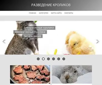 Rabbit-Ferma.ru(Разведение) Screenshot