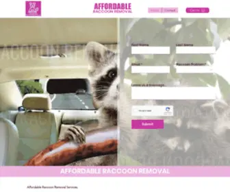 Raccoon-Removal-Toronto.com(Fair Raccoon Removal Toronto Cost ) Screenshot