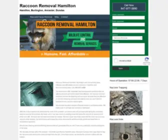 Raccoonremovalhamilton.ca(Raccoon Removal Hamilton) Screenshot