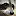 RaccoonWorld.com Favicon