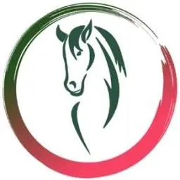 Race2Win.com Logo