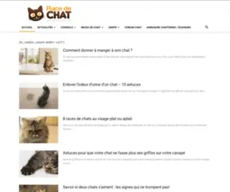 Racedechat.com(Le chat) Screenshot