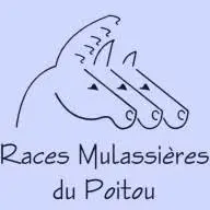 Racesmulassieresdupoitou.com Favicon